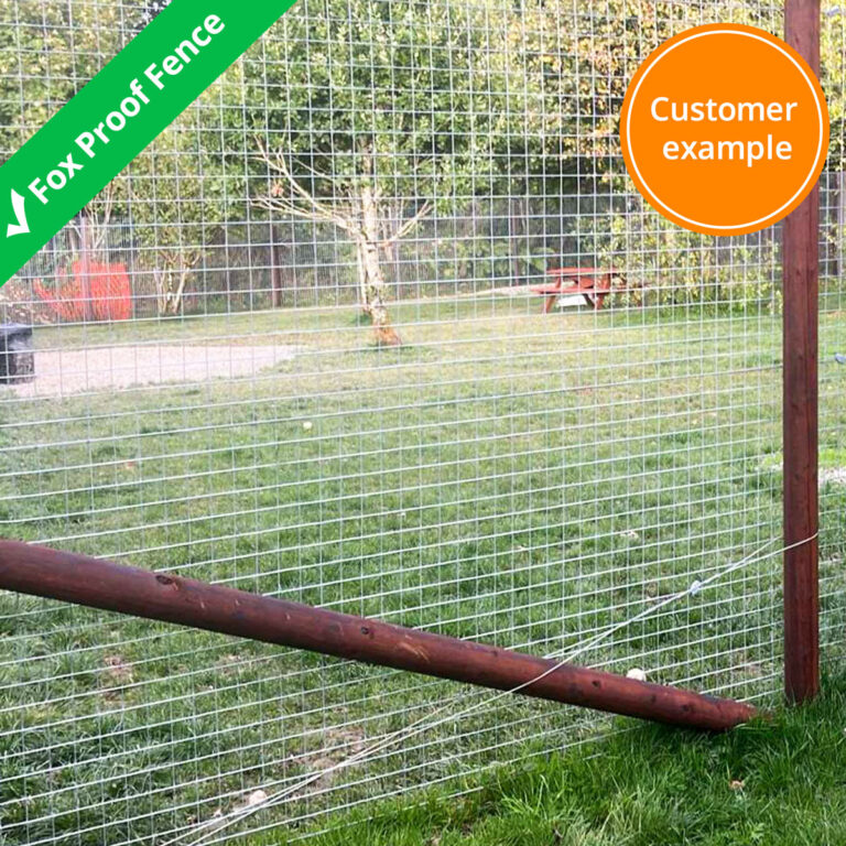 fox-proof-fence
