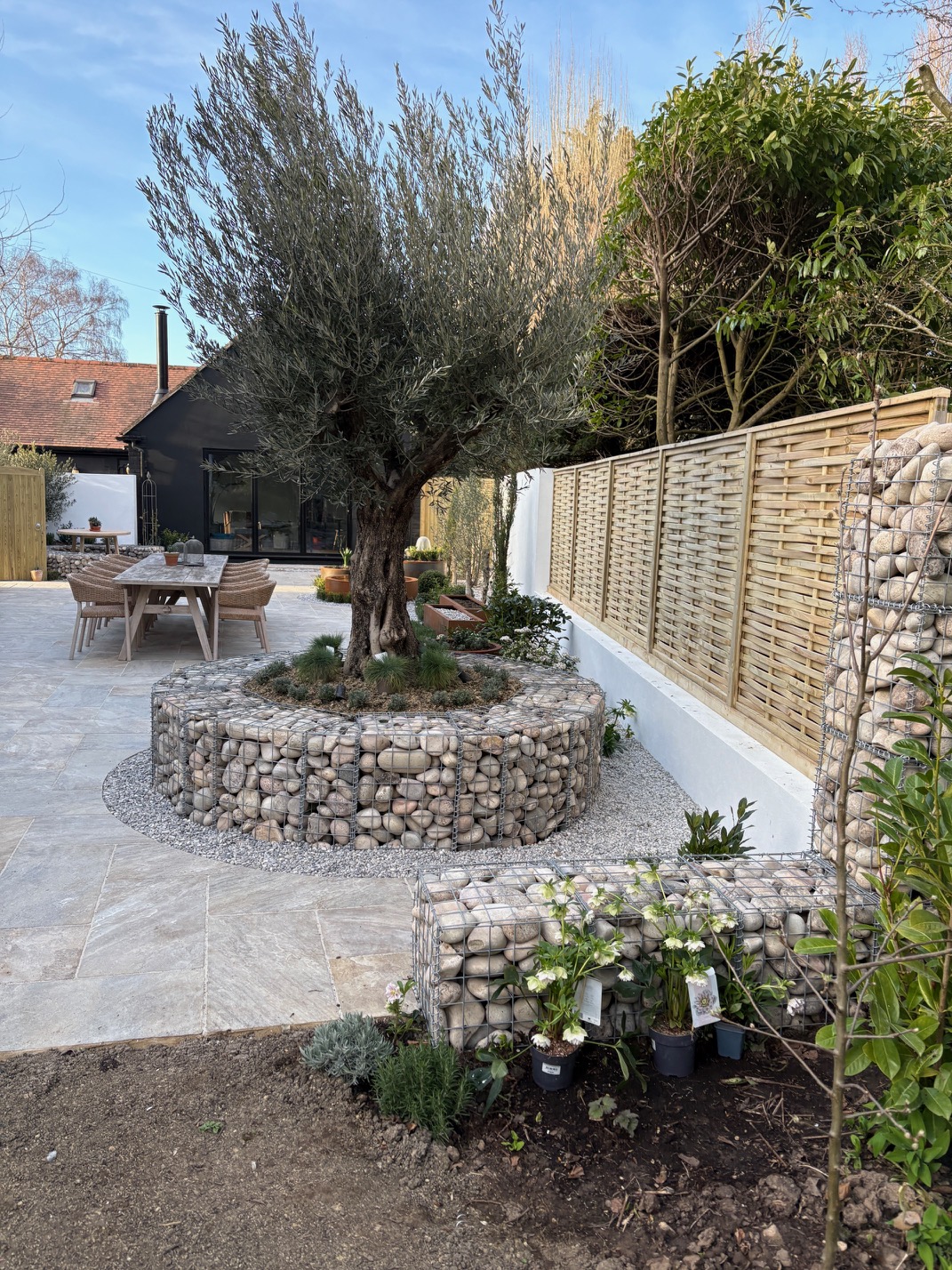 round-gabion-planter