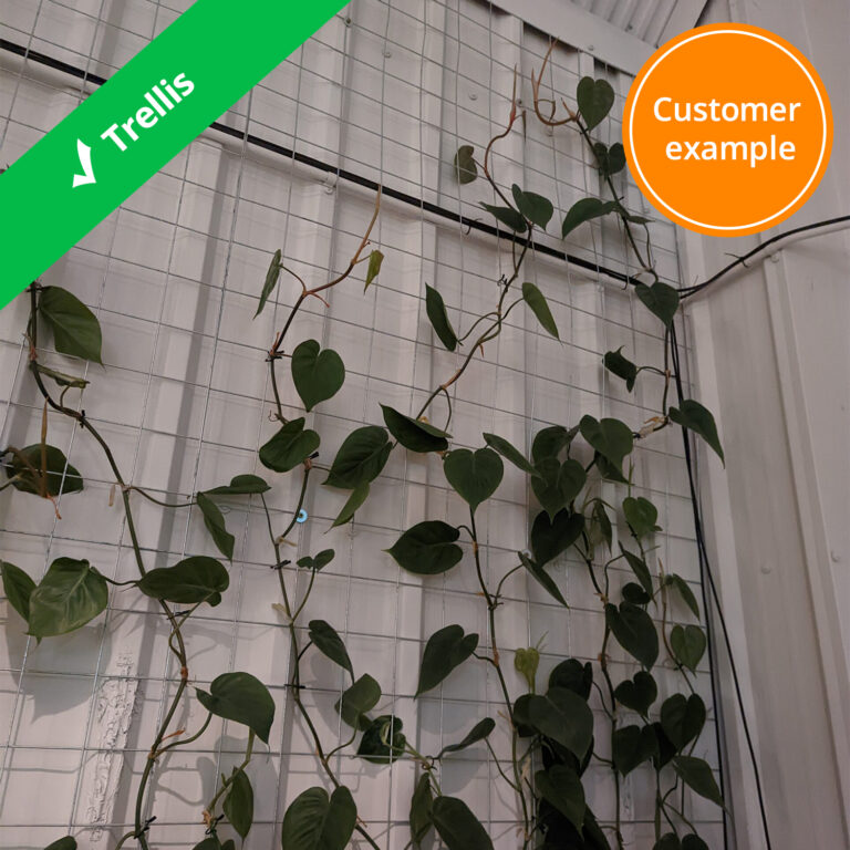panel-trellis