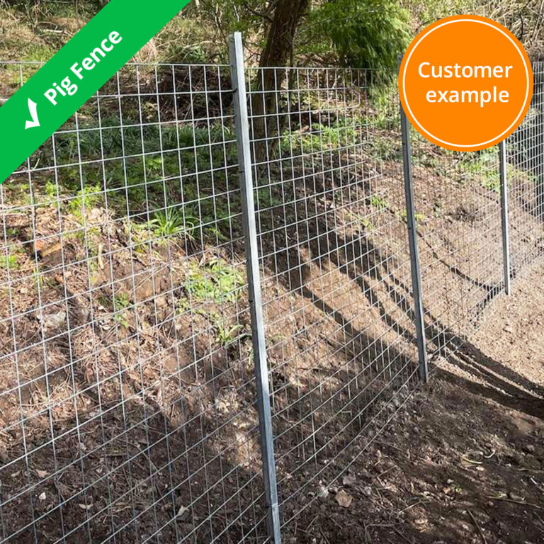 pig-fence
