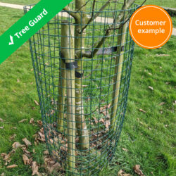 pvc-wire-mesh-tree-guard
