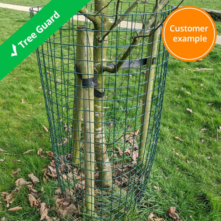 pvc-wire-mesh-tree-guard